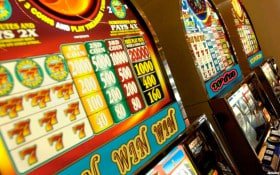 wingo game Sportsbook